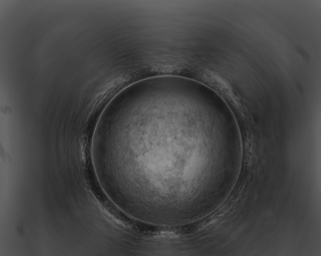 X0000090890114200708031101