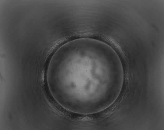 X0000090890115200708031101