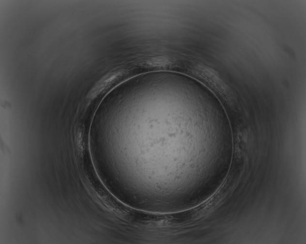 X0000090890116200708031101