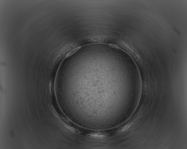 X0000090890117200708031101