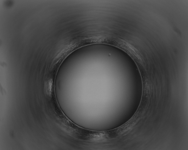 X0000090890118200708031101