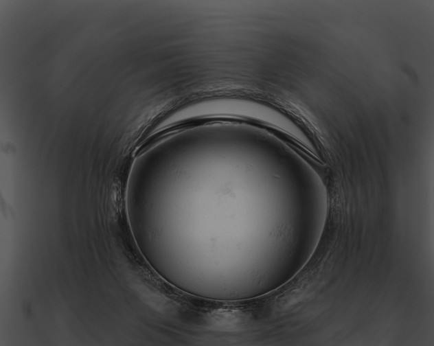 X0000090890119200708031101