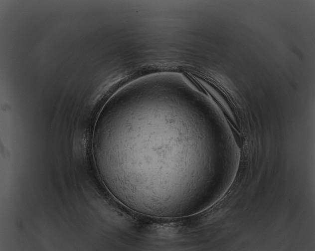 X0000090890120200708031101