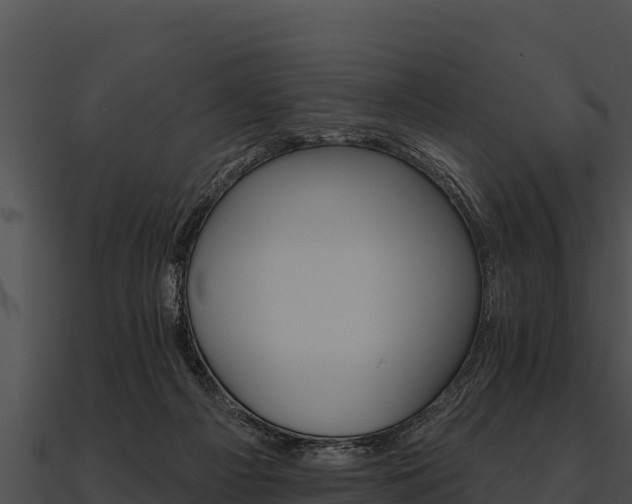 X0000090890121200708031101