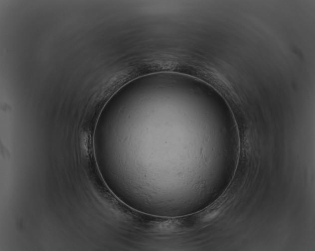 X0000090890122200708031101