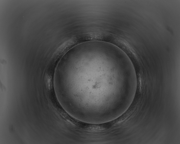 X0000090890123200708031101