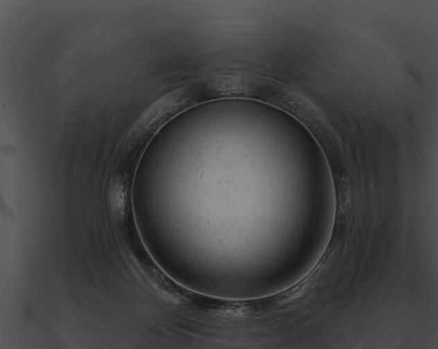 X0000090890124200708031101