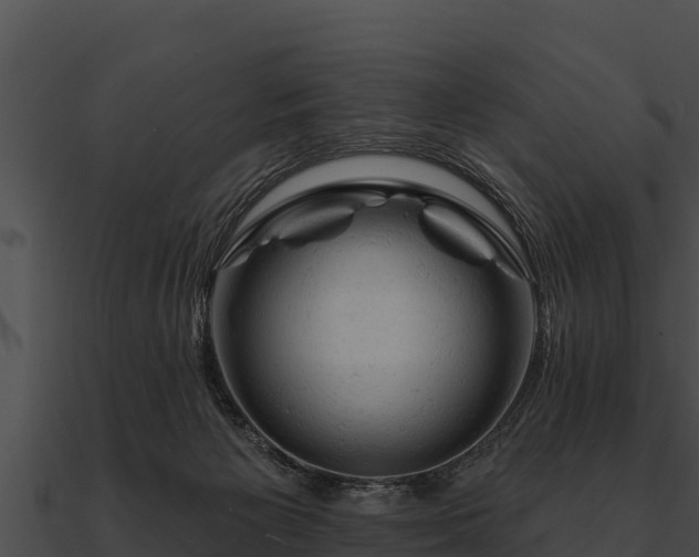 X0000090890125200708031101