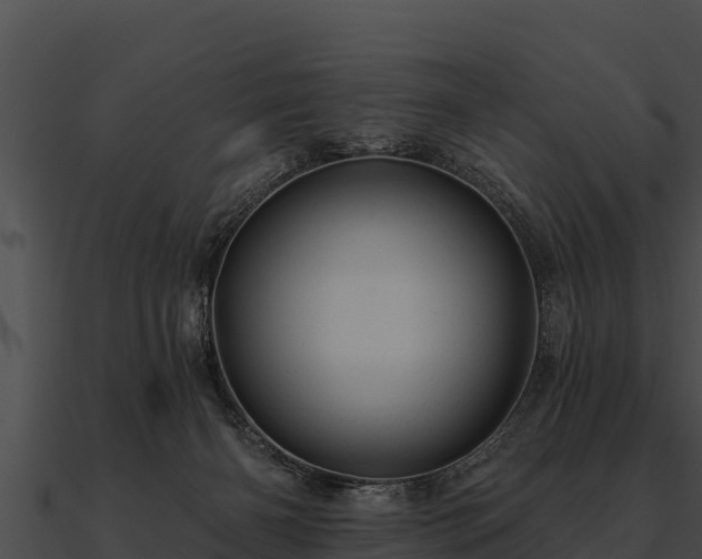 X0000090890126200708031101