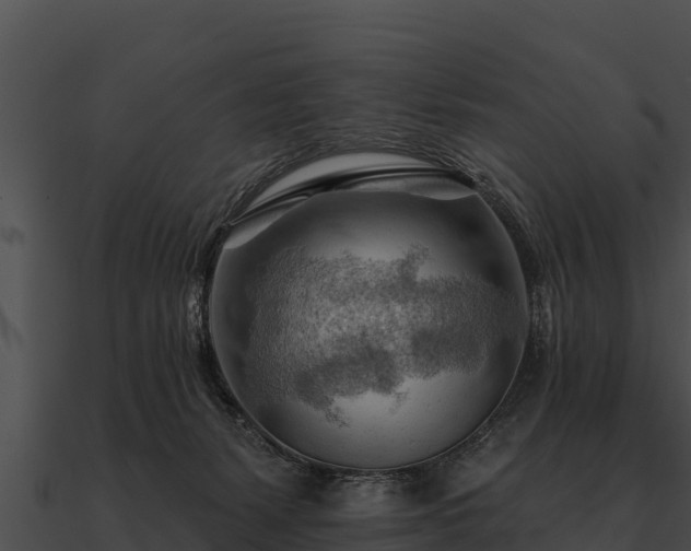 X0000090890127200708031101