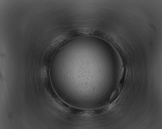 X0000090890128200708031101