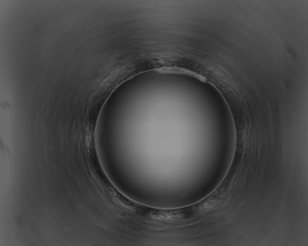 X0000090890129200708031101