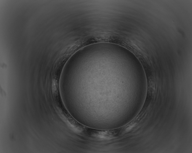 X0000090890130200708031101