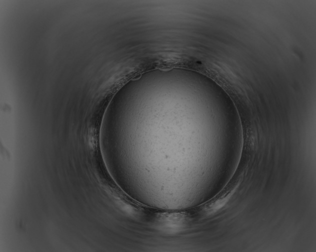 X0000090890135200708031100