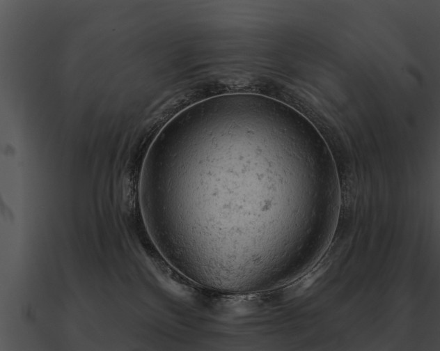 X0000090890136200708031100