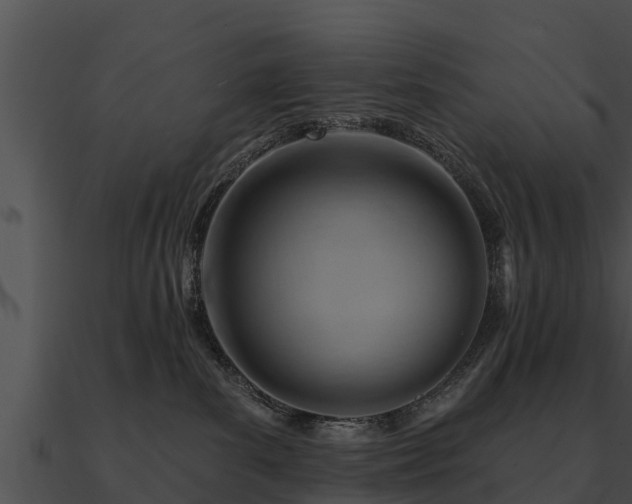 X0000090890139200708031100