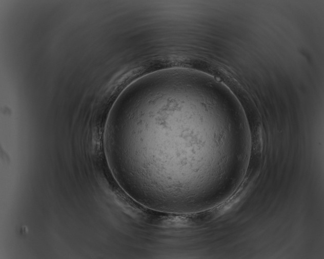 X0000090890140200708031100