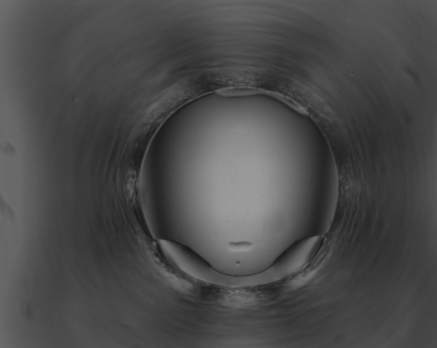 X0000090890141200708031100