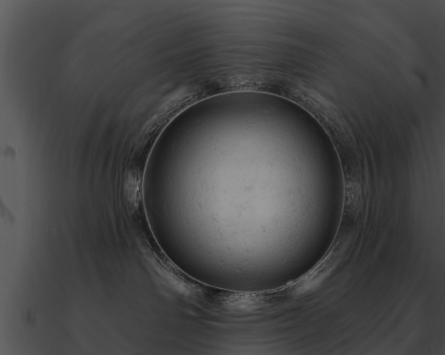 X0000090890142200708031100