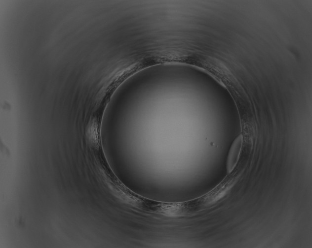 X0000090890143200708031100