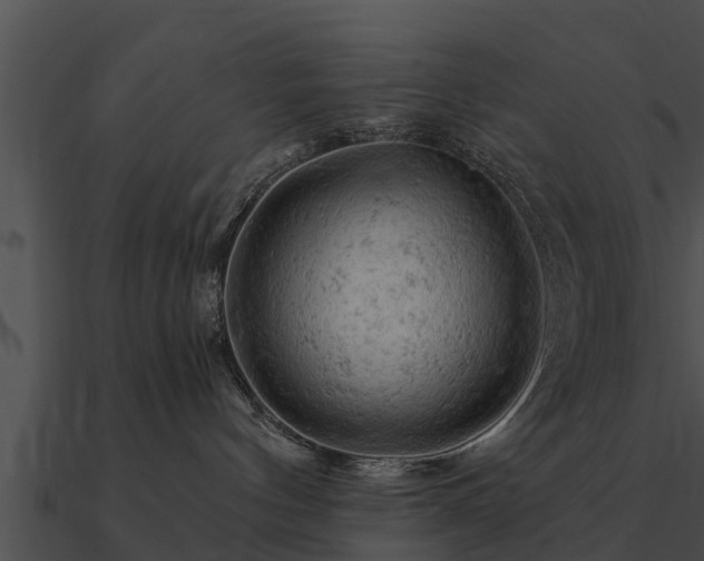 X0000090890144200708031100