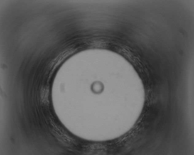 X0000090890146200708031100