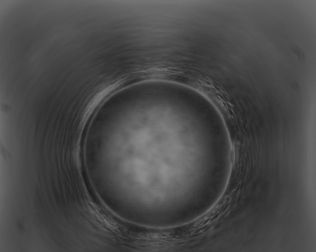 X0000090890147200708031100