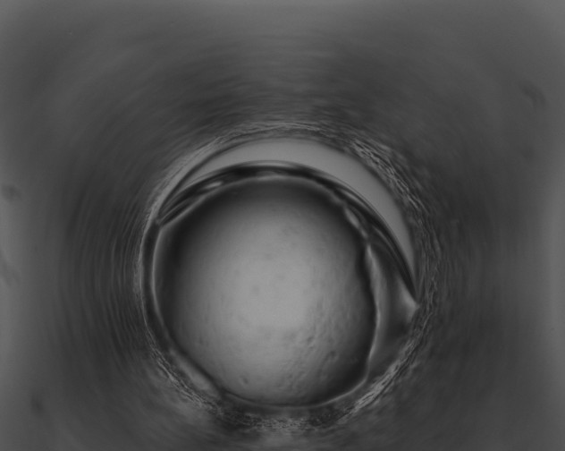 X0000090890148200708031100