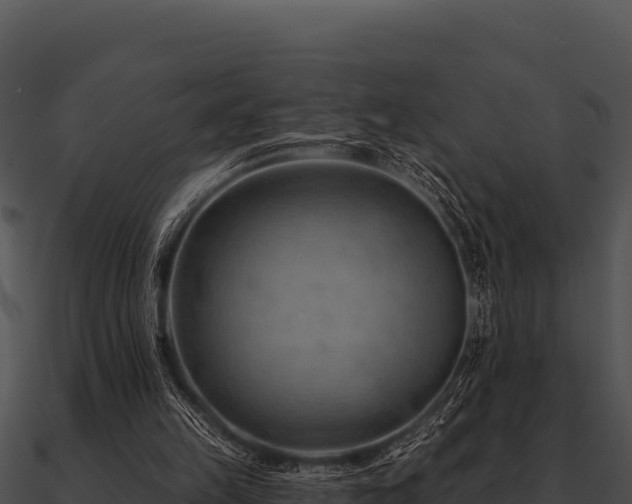 X0000090890149200708031100