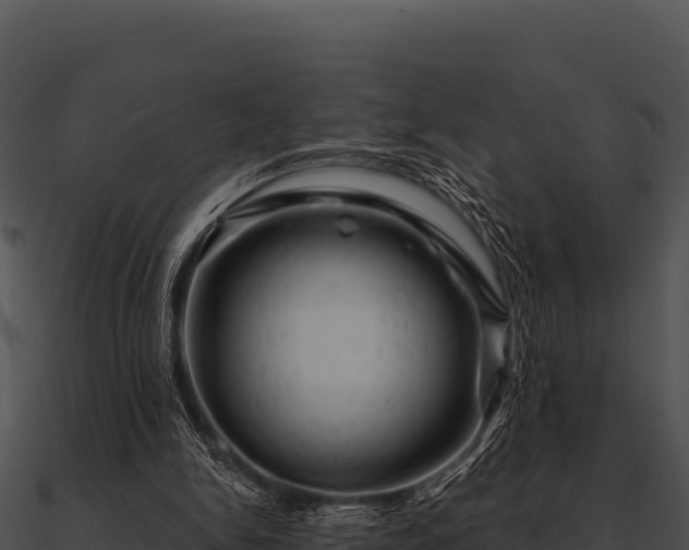 X0000090890150200708031100