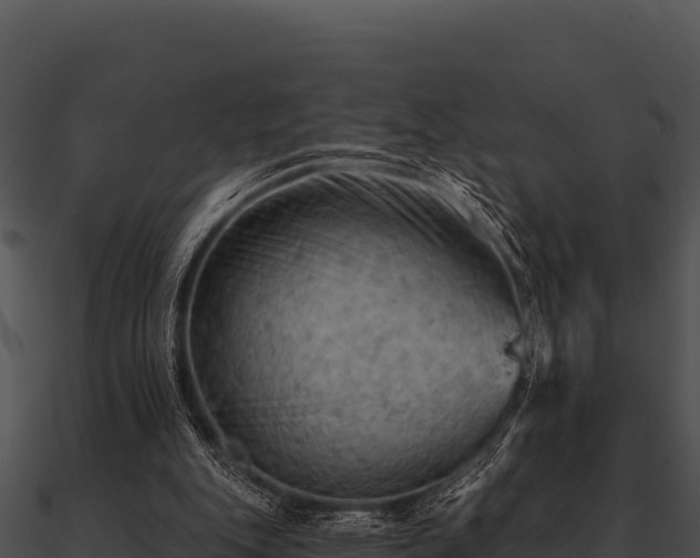 X0000090890151200708031100