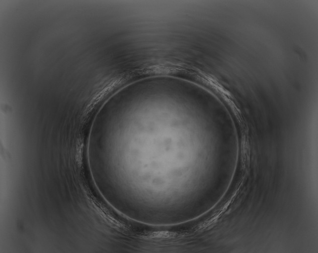 X0000090890153200708031100