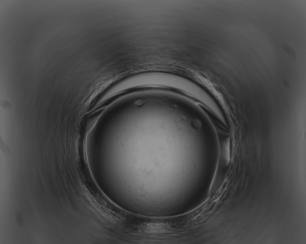 X0000090890154200708031100