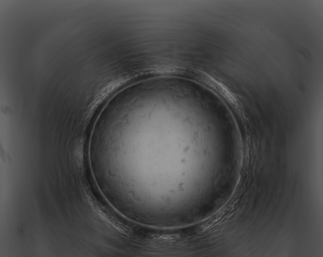 X0000090890155200708031100