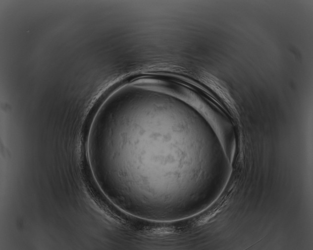 X0000090890156200708031100