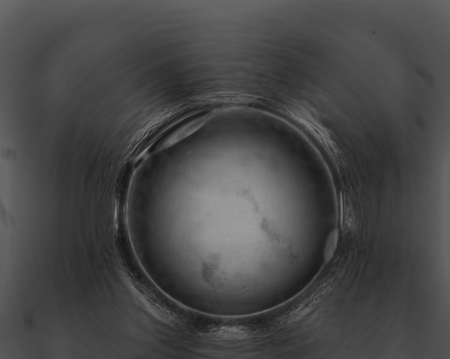 X0000090890157200708031100