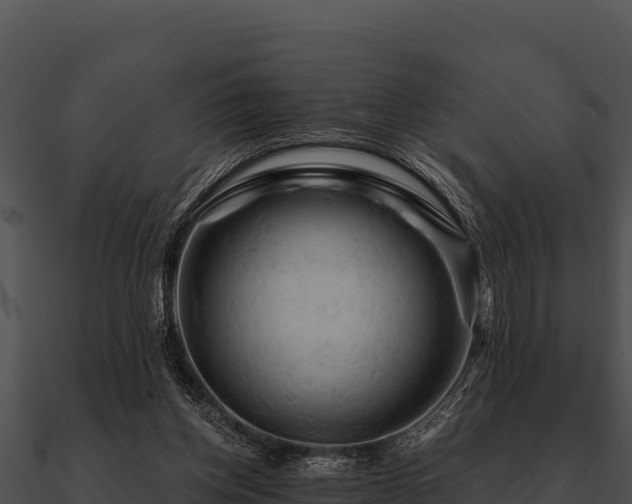 X0000090890158200708031100