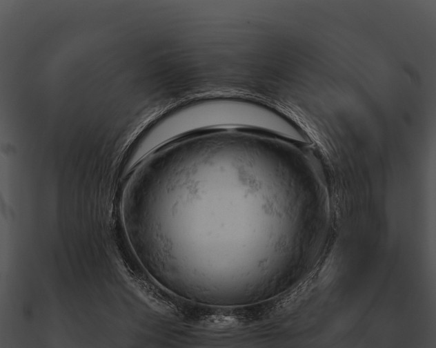 X0000090890159200708031100