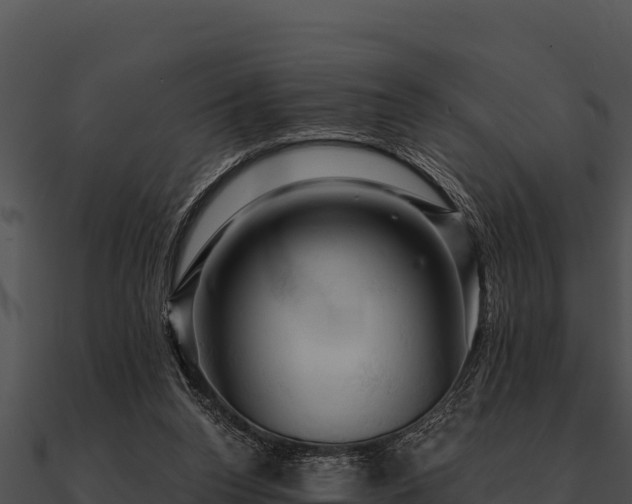 X0000090890160200708031100