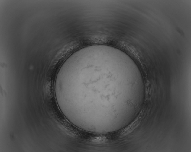 X0000090890162200708031100