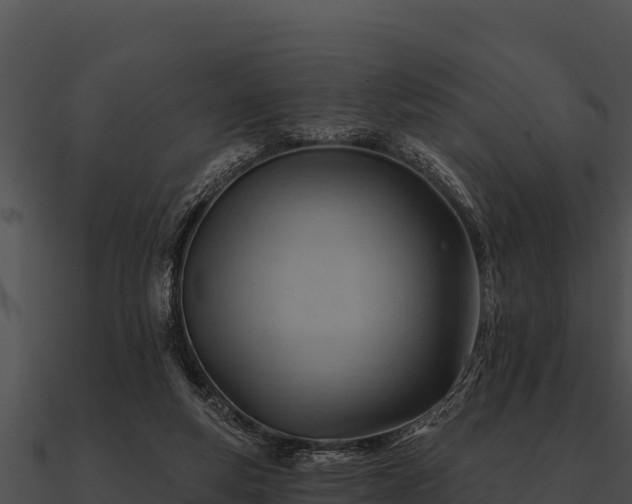 X0000090890163200708031100