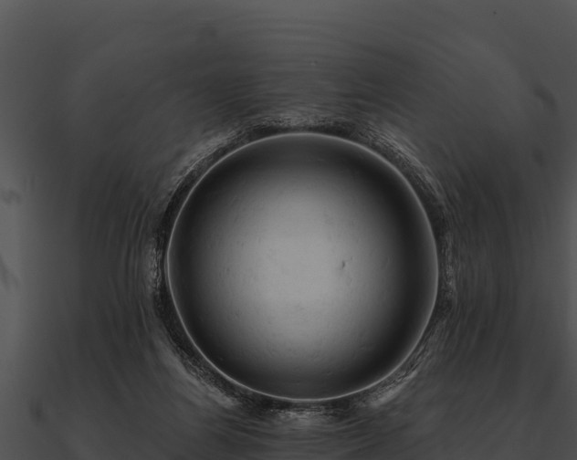 X0000090890164200708031100