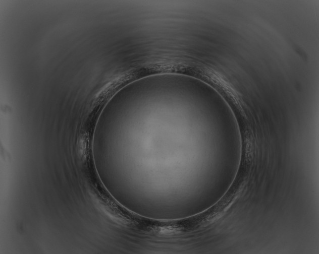 X0000090890165200708031100