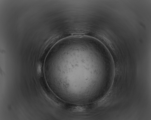 X0000090890166200708031100