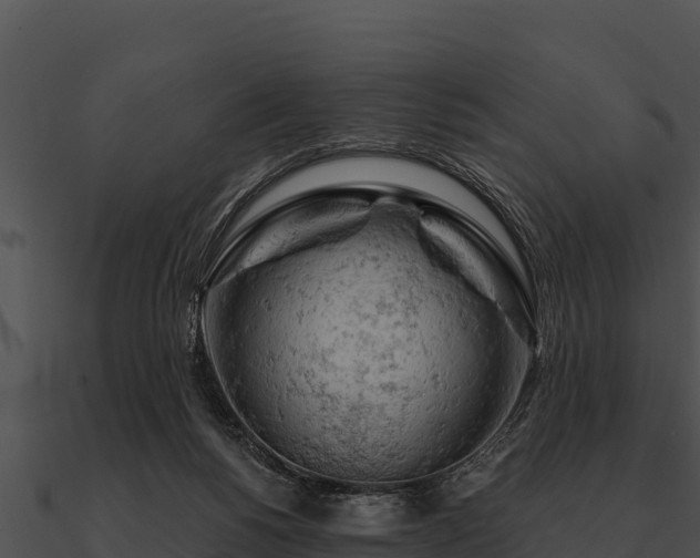 X0000090890168200708031100