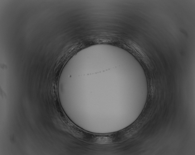 X0000090890169200708031100