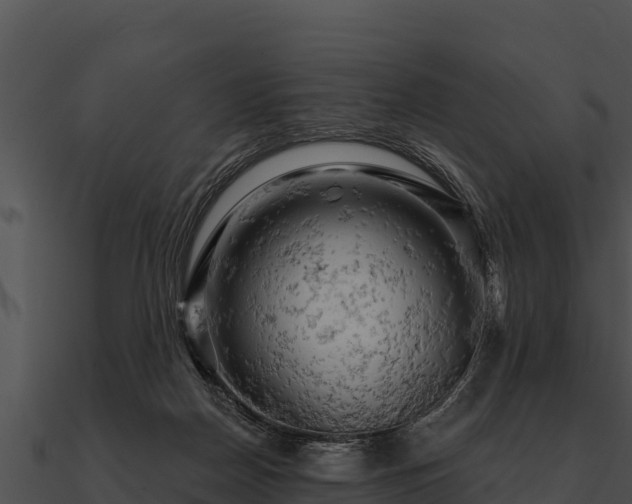 X0000090890170200708031100