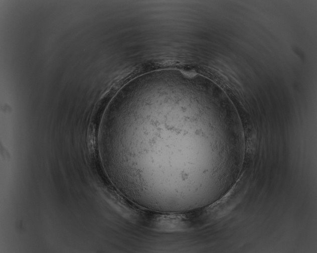 X0000090890179200708031100