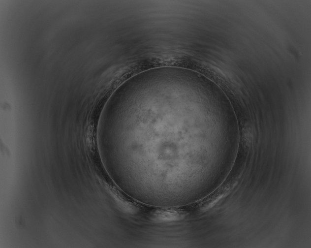 X0000090890181200708031100