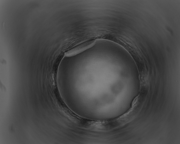 X0000090890182200708031100